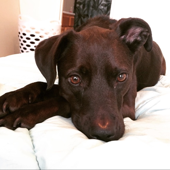 Meet Your Posher, Jacky! - Picture 5 of 8